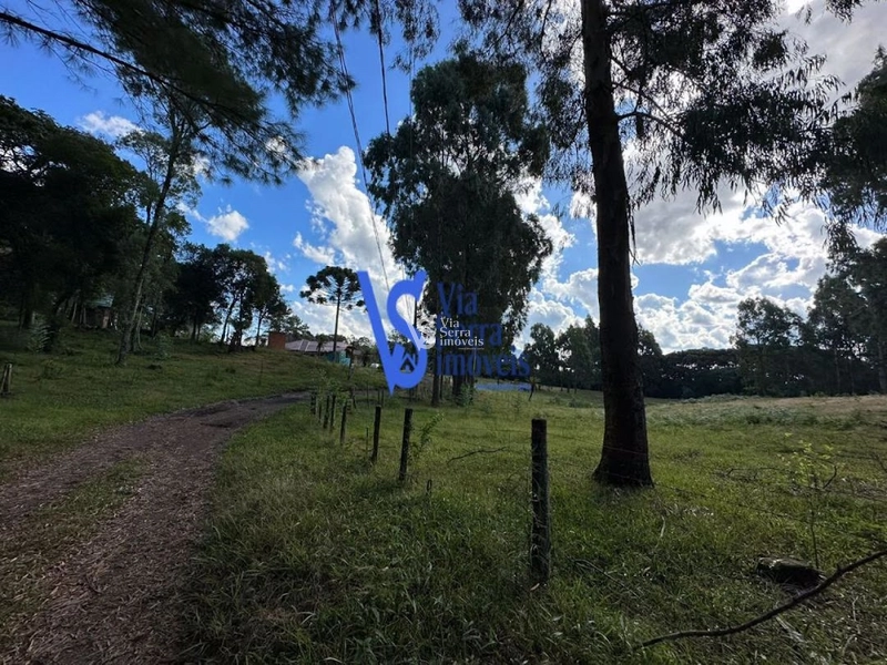 Sítio em São Francisco de Paula/RS!: 4ª foto da galeria de imagens do imóvel