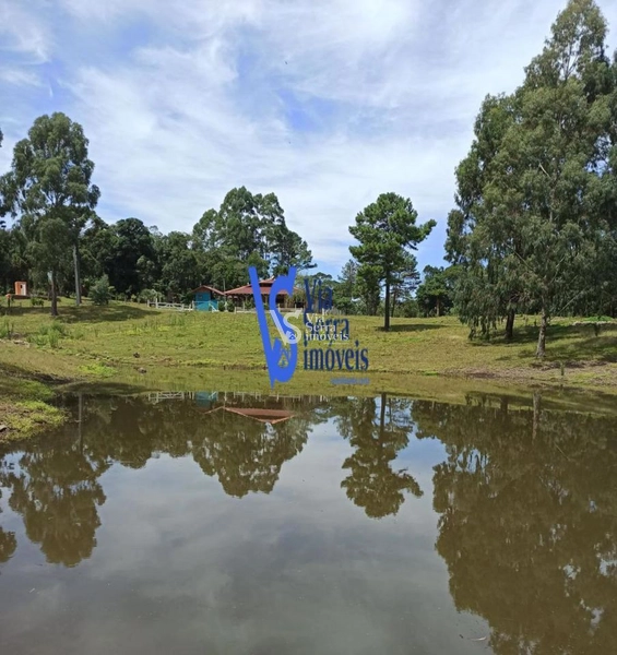 Sítio em São Francisco de Paula/RS!: 15ª foto da galeria de imagens do imóvel