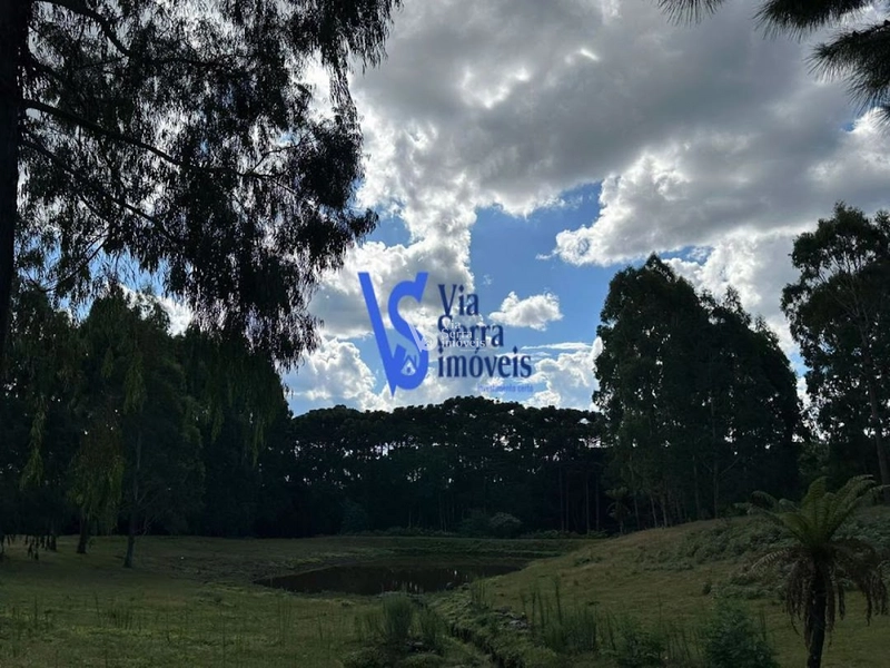 Sítio em São Francisco de Paula/RS!: 1ª foto da galeria de imagens do imóvel