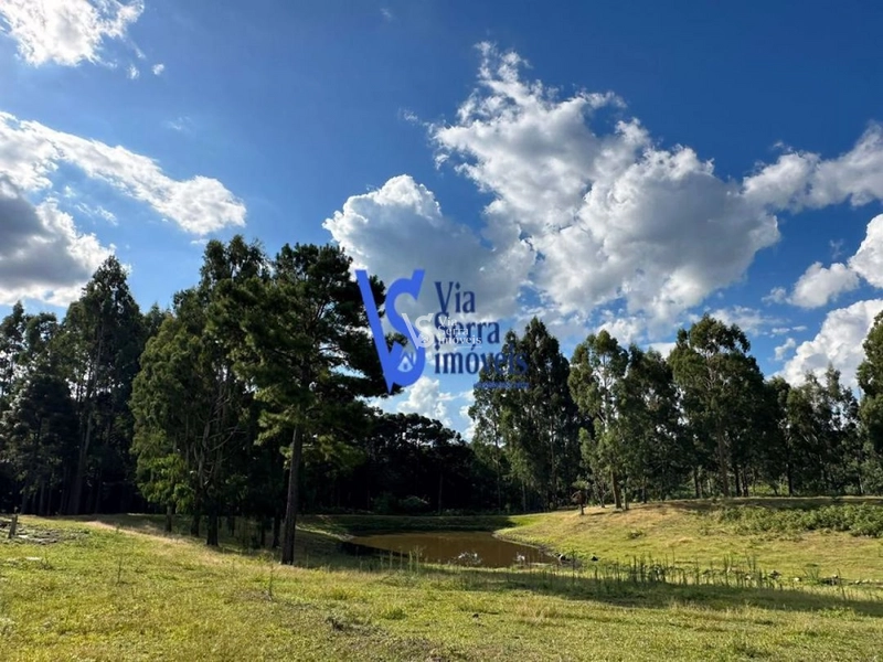 Sítio em São Francisco de Paula/RS!: 13ª foto da galeria de imagens do imóvel