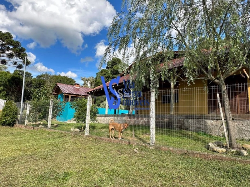 Sítio em São Francisco de Paula/RS!: 21ª foto da galeria de imagens do imóvel