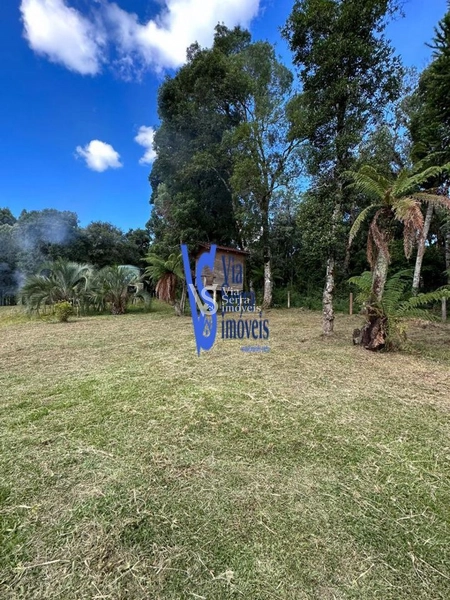 Sítio em São Francisco de Paula/RS!: 26ª foto da galeria de imagens do imóvel