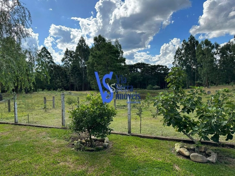 Sítio em São Francisco de Paula/RS!: 20ª foto da galeria de imagens do imóvel