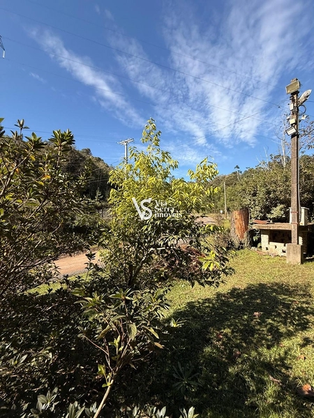 Excelente sítio em Serra Grande!: 13ª foto da galeria de imagens do imóvel