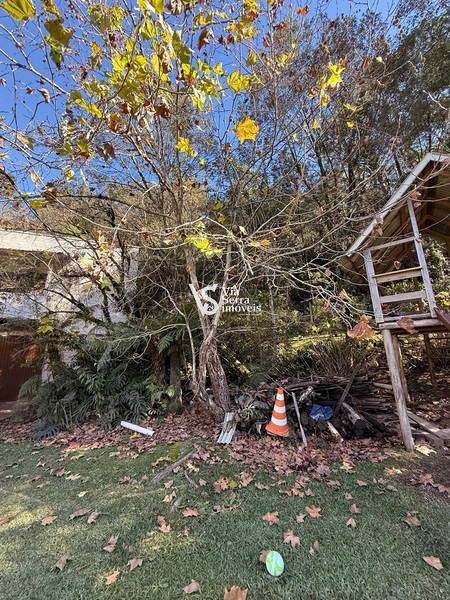 Excelente sítio em Serra Grande!: 14ª foto da galeria de imagens do imóvel