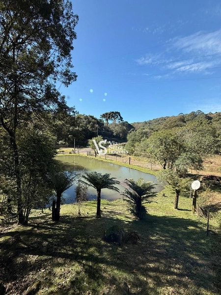 Excelente sítio em Serra Grande!: 2ª foto da galeria de imagens do imóvel