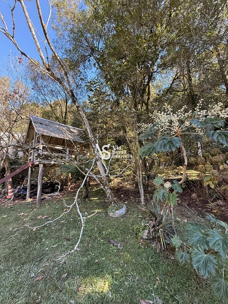 Excelente sítio em Serra Grande!: 12ª foto da galeria de imagens do imóvel