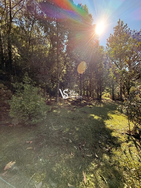 Excelente sítio em Serra Grande!: 11ª foto da galeria de imagens do imóvel