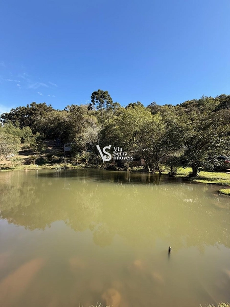 Excelente sítio em Serra Grande!: 37ª foto da galeria de imagens do imóvel