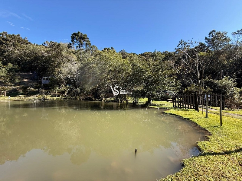 Excelente sítio em Serra Grande!: 36ª foto da galeria de imagens do imóvel