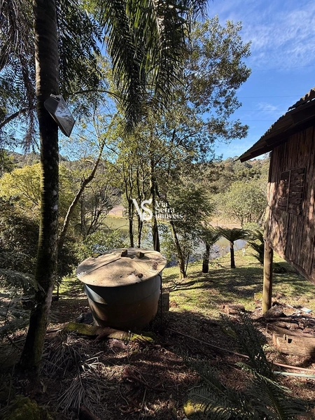 Excelente sítio em Serra Grande!: 4ª foto da galeria de imagens do imóvel