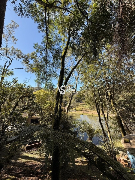 Excelente sítio em Serra Grande!: 6ª foto da galeria de imagens do imóvel