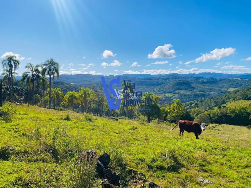 Sítio à venda, em Três Coroas/RS!: 6ª foto da galeria de imagens do imóvel