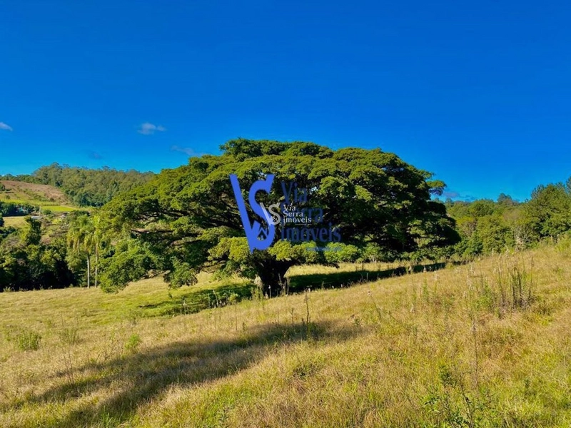 Sítio à venda, em Três Coroas/RS!: 15ª foto da galeria de imagens do imóvel