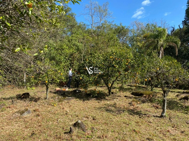 Sítio em Três Coroas, a 15 de Gramado!: 7ª foto da galeria de imagens do imóvel