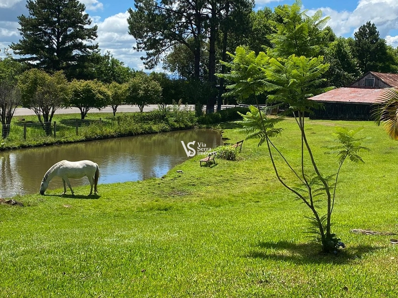 Sítio em Três Coroas, a 15 de Gramado!: 2ª foto da galeria de imagens do imóvel