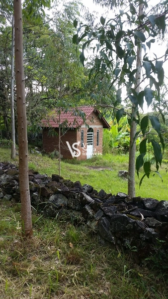 Sítio em Três Coroas, a 15 de Gramado!: 20ª foto da galeria de imagens do imóvel