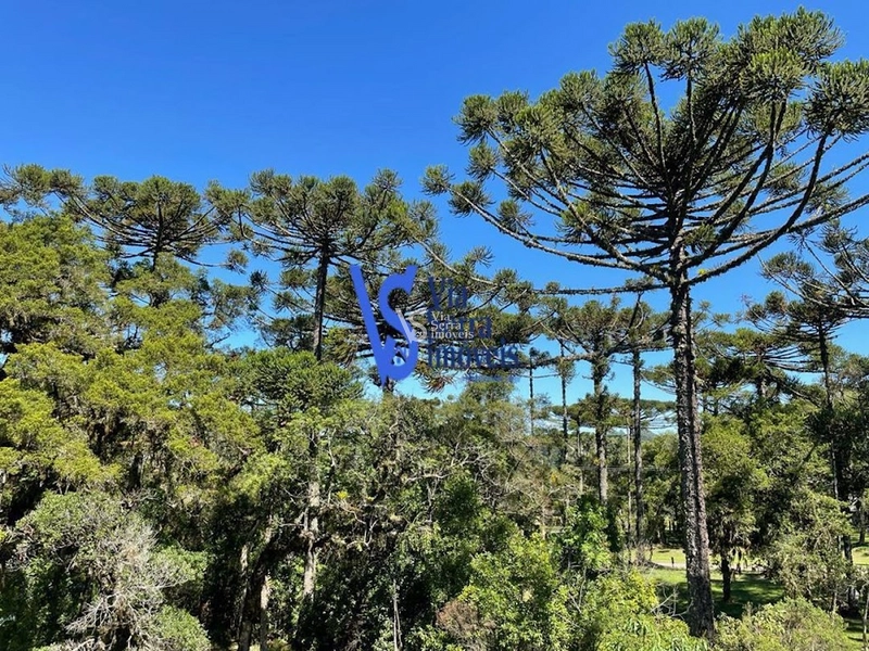 Casa Residencial à venda, no centro de Canela/RS!: 20ª foto da galeria de imagens do imóvel
