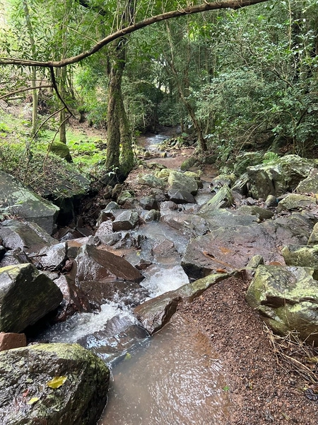 Sítio em Igrejinha/RS!: 11ª foto da galeria de imagens do imóvel