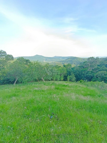 Sítio em Igrejinha/RS!: 6ª foto da galeria de imagens do imóvel