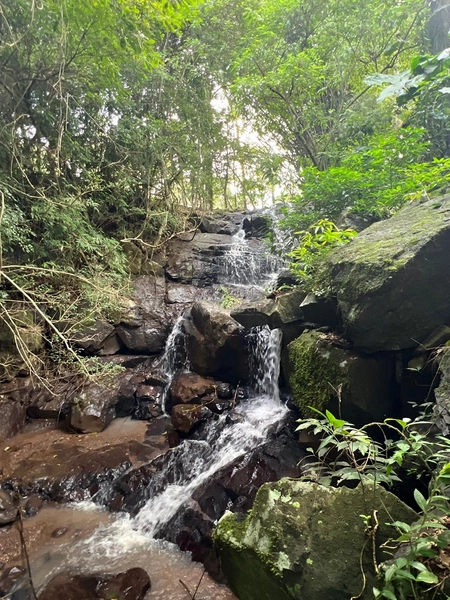 Sítio em Igrejinha/RS!: 10ª foto da galeria de imagens do imóvel