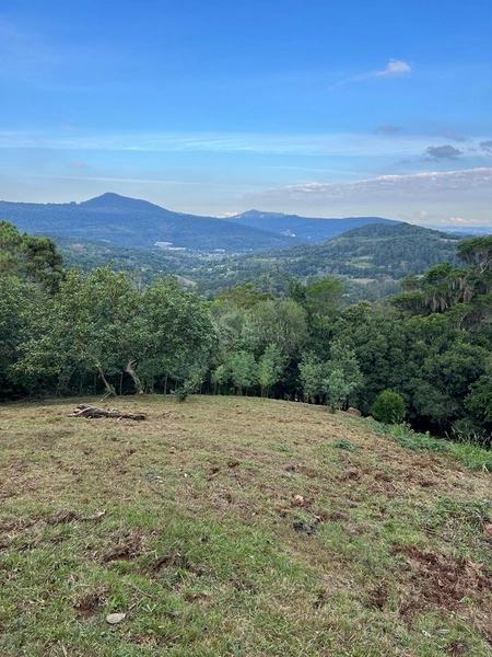 Sítio em Igrejinha/RS!: 5ª foto da galeria de imagens do imóvel