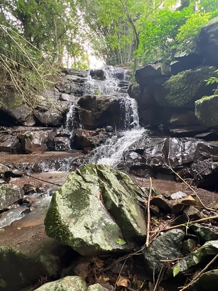 Sítio em Igrejinha/RS!: 12ª foto da galeria de imagens do imóvel