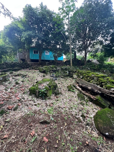 Sítio em Igrejinha/RS!: 2ª foto da galeria de imagens do imóvel