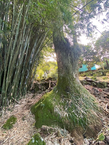 Sítio em Igrejinha/RS!: 4ª foto da galeria de imagens do imóvel