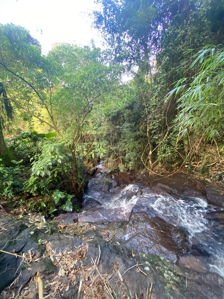 Sítio em Igrejinha/RS!: 14ª foto da galeria de imagens do imóvel