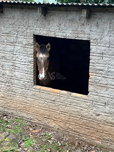 Sítio em Igrejinha/RS!: 9ª foto da galeria de imagens do imóvel