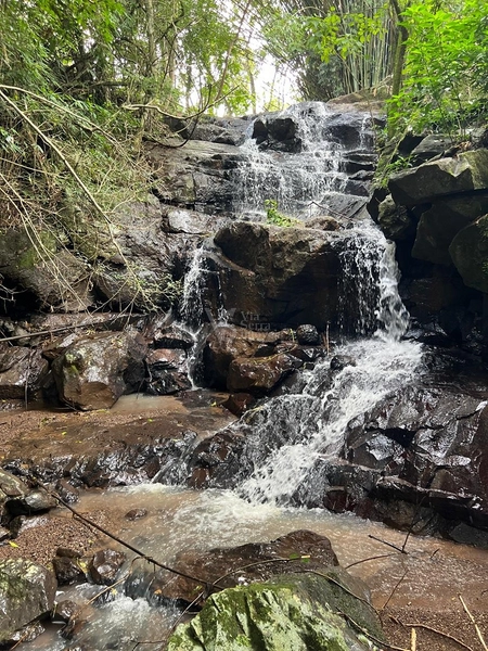 Sítio em Igrejinha/RS!: 15ª foto da galeria de imagens do imóvel