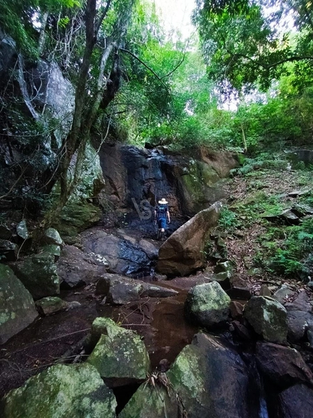 Sítio em Igrejinha/RS!: 17ª foto da galeria de imagens do imóvel