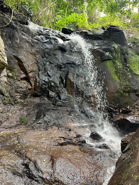 Sítio em Igrejinha/RS!: 13ª foto da galeria de imagens do imóvel