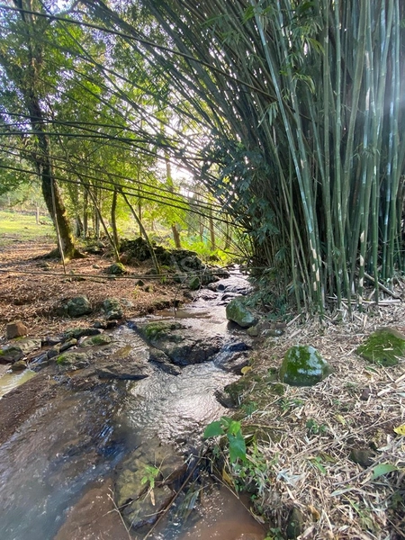 Sítio em Igrejinha/RS!: 16ª foto da galeria de imagens do imóvel