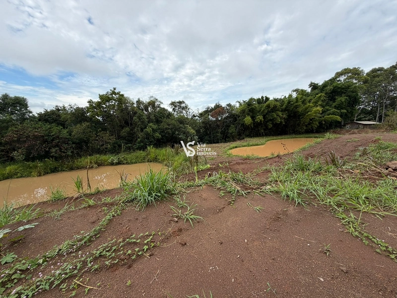 Chácara de 10.000m² na região do Morro Fortaleza, Igrejinha/RS!: 8ª foto da galeria de imagens do imóvel