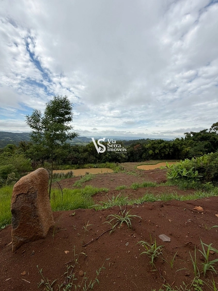 Chácara de 10.000m² na região do Morro Fortaleza, Igrejinha/RS!: 12ª foto da galeria de imagens do imóvel