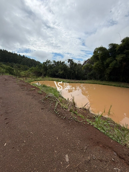Chácara de 10.000m² na região do Morro Fortaleza, Igrejinha/RS!: 2ª foto da galeria de imagens do imóvel