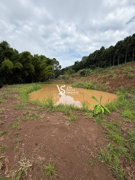 Chácara de 10.000m² na região do Morro Fortaleza, Igrejinha/RS!: 6ª foto da galeria de imagens do imóvel