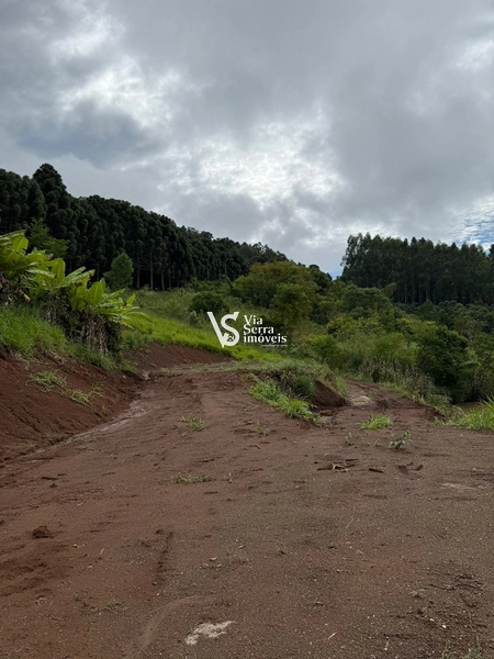 Chácara de 10.000m² na região do Morro Fortaleza, Igrejinha/RS!: 4ª foto da galeria de imagens do imóvel