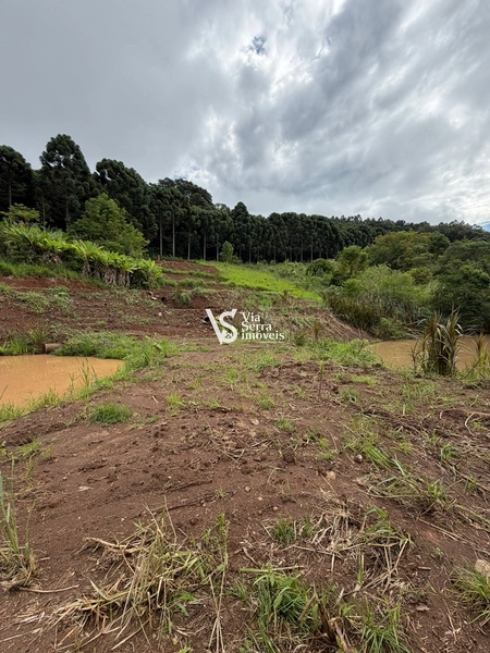 Chácara de 10.000m² na região do Morro Fortaleza, Igrejinha/RS!: 7ª foto da galeria de imagens do imóvel