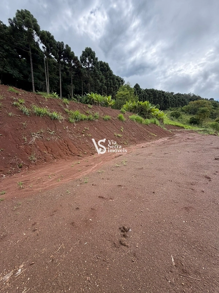Chácara de 10.000m² na região do Morro Fortaleza, Igrejinha/RS!: 5ª foto da galeria de imagens do imóvel