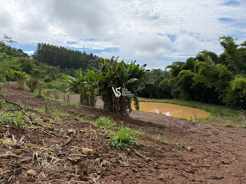 Chácara de 10.000m² na região do Morro Fortaleza, Igrejinha/RS!: 1ª foto da galeria de imagens do imóvel