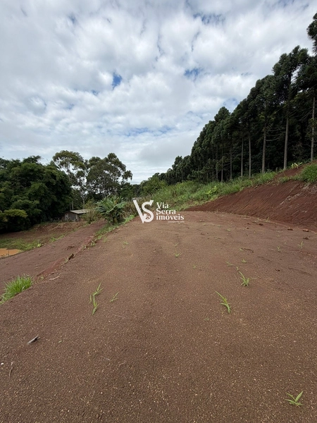 Chácara de 10.000m² na região do Morro Fortaleza, Igrejinha/RS!: 10ª foto da galeria de imagens do imóvel
