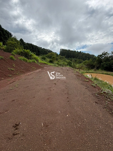 Chácara de 10.000m² na região do Morro Fortaleza, Igrejinha/RS!: 3ª foto da galeria de imagens do imóvel