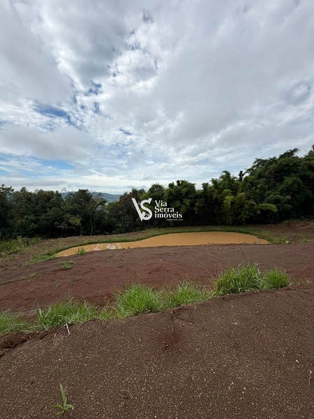 Chácara de 10.000m² na região do Morro Fortaleza, Igrejinha/RS!: 13ª foto da galeria de imagens do imóvel