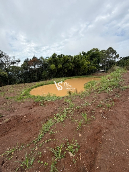 Chácara de 10.000m² na região do Morro Fortaleza, Igrejinha/RS!: 9ª foto da galeria de imagens do imóvel