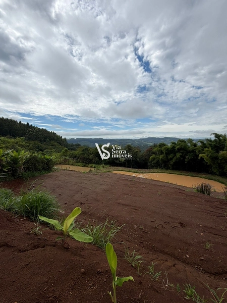 Chácara de 10.000m² na região do Morro Fortaleza, Igrejinha/RS!: 11ª foto da galeria de imagens do imóvel