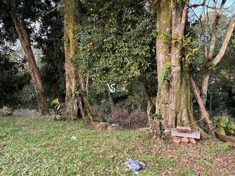 Sitio: 4ª foto da galeria de imagens do imóvel