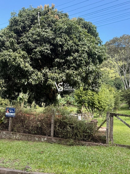 Amplo terreno à venda em Igrejinha/RS!: 2ª foto da galeria de imagens do imóvel